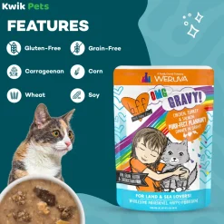 Weruva B.F.F. OMG Chicken, Turkey & Salmon Purr-Fect Plannin'! Dinner in Gravy Wet Cat Food Pouches 2.8-oz