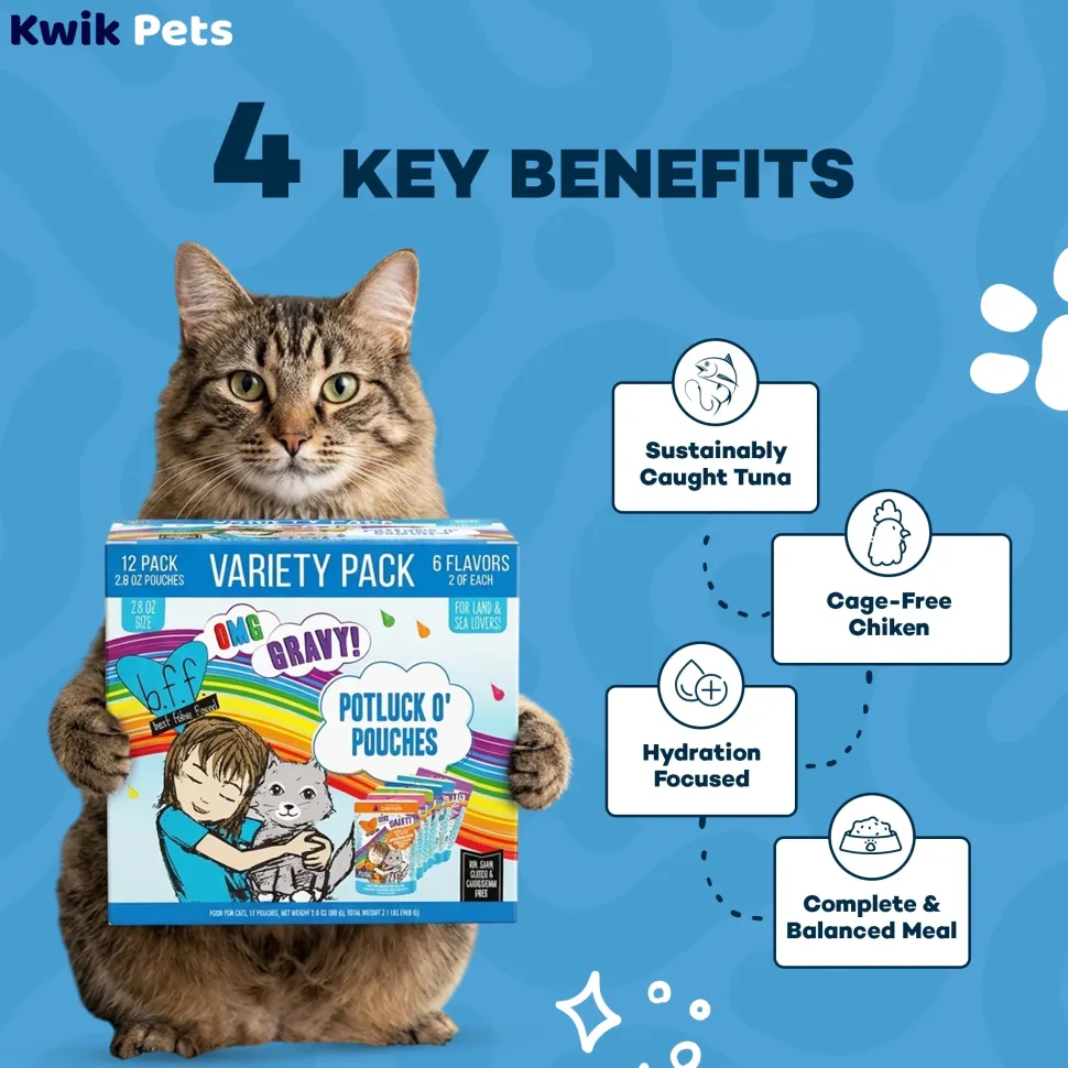 Weruva B.F.F. OMG Potluck O' Pouches Variety Pack Wet Cat Food 2.8-oz Pouches 12 Count