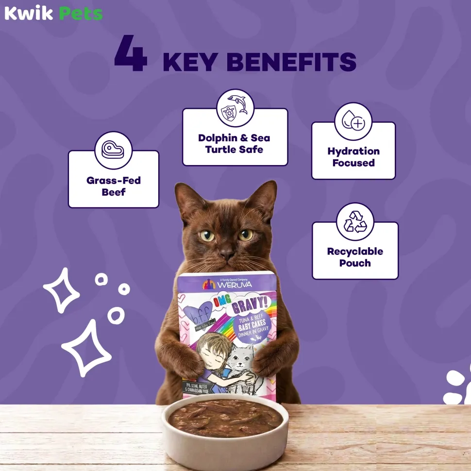 Weruva B.F.F. OMG Tuna & Beef Baby Cakes Dinner in Gravy Wet Cat Food Pouches 3-oz