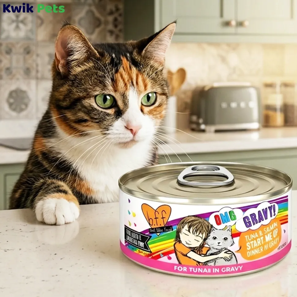 Weruva B.F.F. OMG Tuna & Salmon Start Me Up Dinner in Gravy Wet Cat Food 2.8-oz