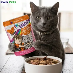 Weruva B.F.F. OMG Tuna & Salmon Sweet Cheeks Dinner in Gravy Wet Cat Food Pouches 3-oz