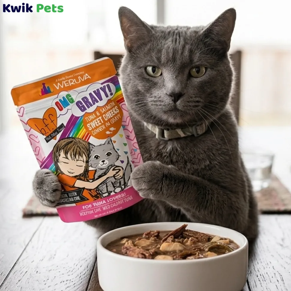 Weruva B.F.F. OMG Tuna & Salmon Sweet Cheeks Dinner in Gravy Wet Cat Food Pouches 3-oz