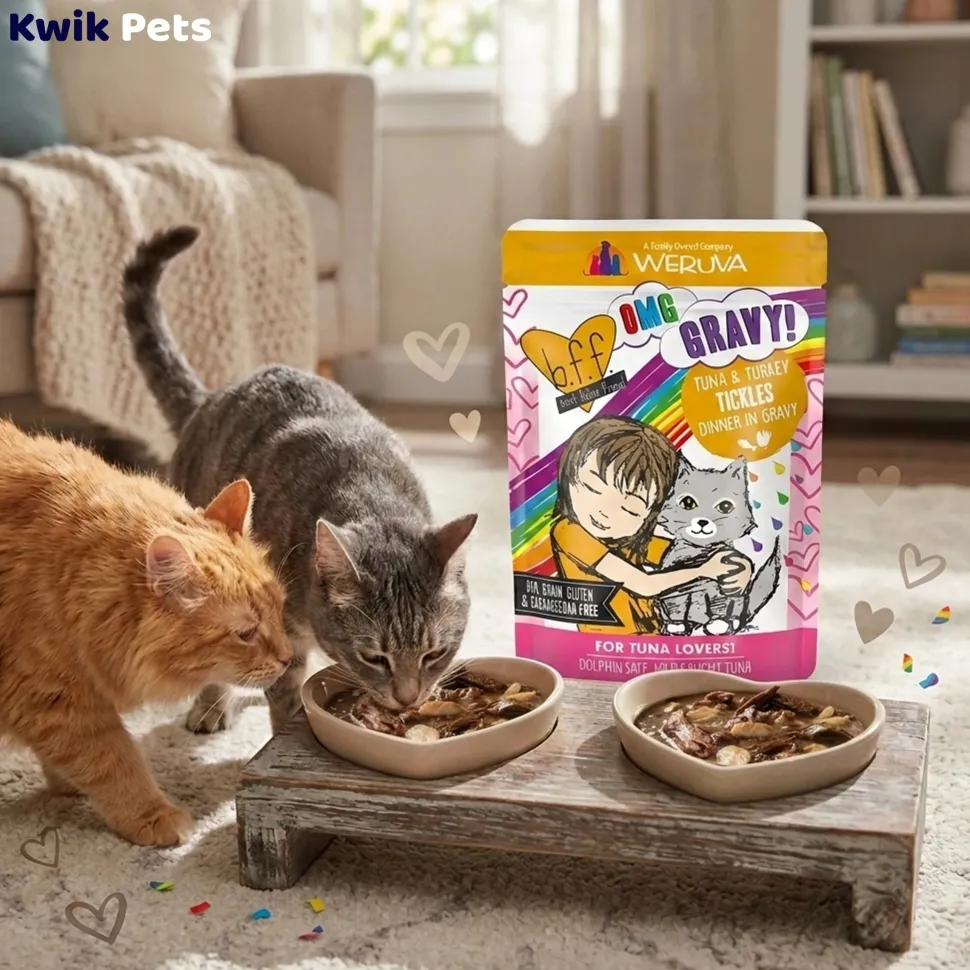 Weruva B.F.F. OMG Tuna & Turkey Tickles Dinner in Gravy Wet Cat Food Pouches 3-oz