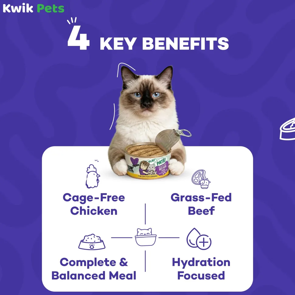 Weruva B.F.F. PLAY Paté Chicken & Beef Best Buds Dinner in a Hydrating Purée Wet Cat Food 2.8-oz