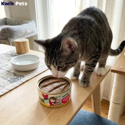 Weruva B.F.F. PLAY Paté Chicken, Duck & Turkey Take A Chance Dinner in a Hydrating Purée Wet Cat Food 5.5-oz
