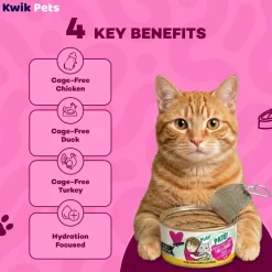 Weruva B.F.F. PLAY Paté Chicken, Duck & Turkey Take A Chance Dinner in a Hydrating Purée Wet Cat Food 5.5-oz