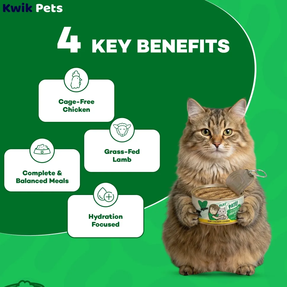 Weruva B.F.F. PLAY Paté Chicken & Lamb Laugh Out Loud Dinner in a Hydrating Purée Wet Cat Food 5.5-oz