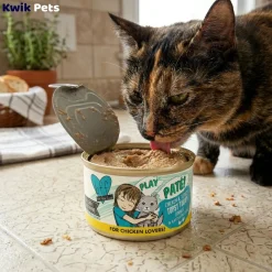 Weruva B.F.F. PLAY Paté Chicken & Turkey Topsy Turvy Dinner in a Hydrating Purée Wet Cat Food 2.8-oz