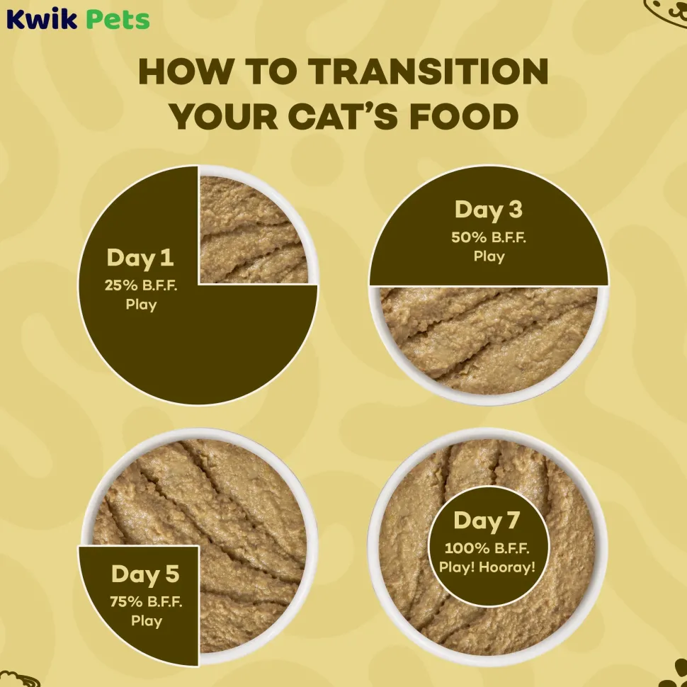 Weruva B.F.F. PLAY Paté Chicken & Turkey Topsy Turvy Dinner in a Hydrating Purée Wet Cat Food 2.8-oz