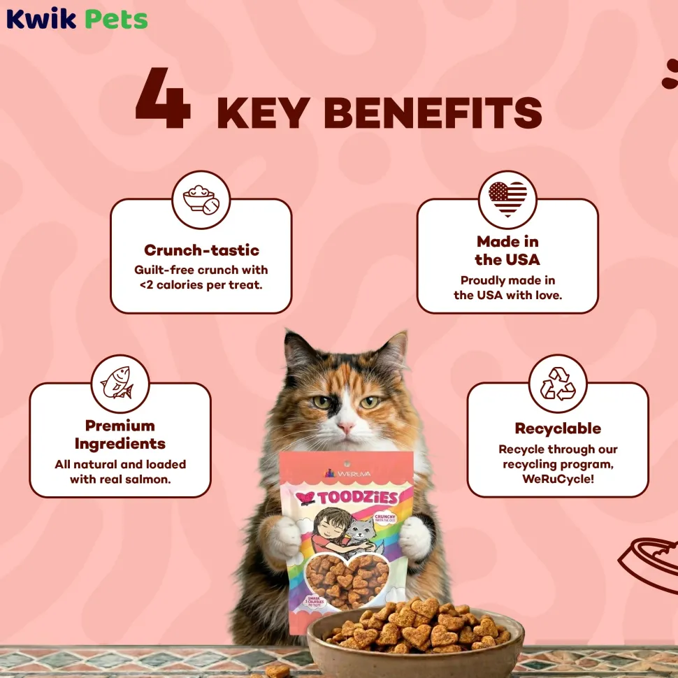 Weruva B.F.F. Toodzies Crunchy Salmon Cat Treats 2-oz