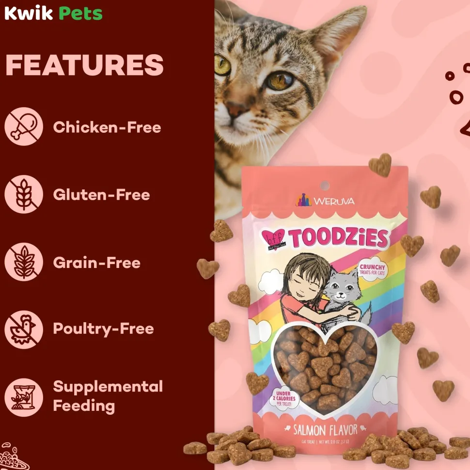 Weruva B.F.F. Toodzies Crunchy Salmon Cat Treats 2-oz
