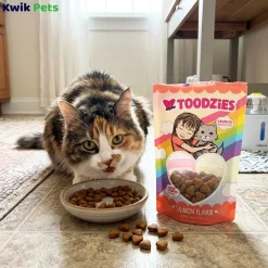 Weruva B.F.F. Toodzies Crunchy Salmon Cat Treats 2-oz