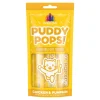 Weruva Puddy Pops Lickable Cat Treats Chicken & Pumpkin 0.5-oz Tubes 5 Count