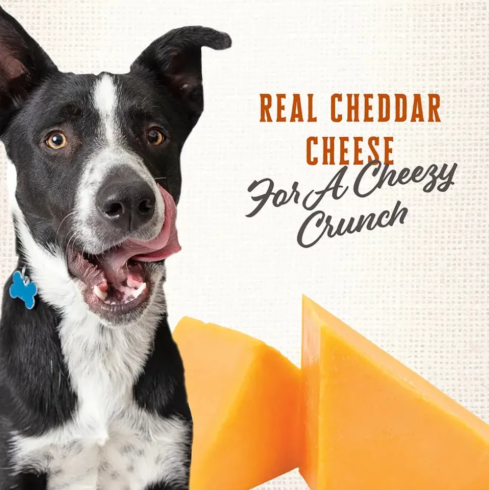 Wholesomes Gourmet Rewards Cheezy Bites Biscuits Oven-Baked Dog Treats Cheddar Cheese 3-lb