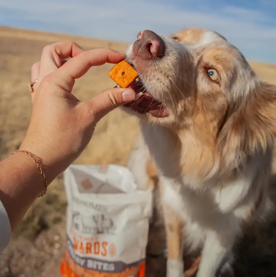 Wholesomes Gourmet Rewards Cheezy Bites Biscuits Oven-Baked Dog Treats Cheddar Cheese 3-lb