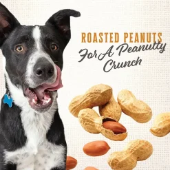 Wholesomes Gourmet Rewards Nut'R'Nipz Biscuits Oven-Baked Dog Treats Peanut Butter 2-lb