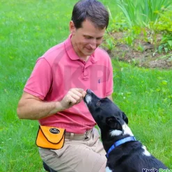 Woofhoof Dog Treat Pouch Black