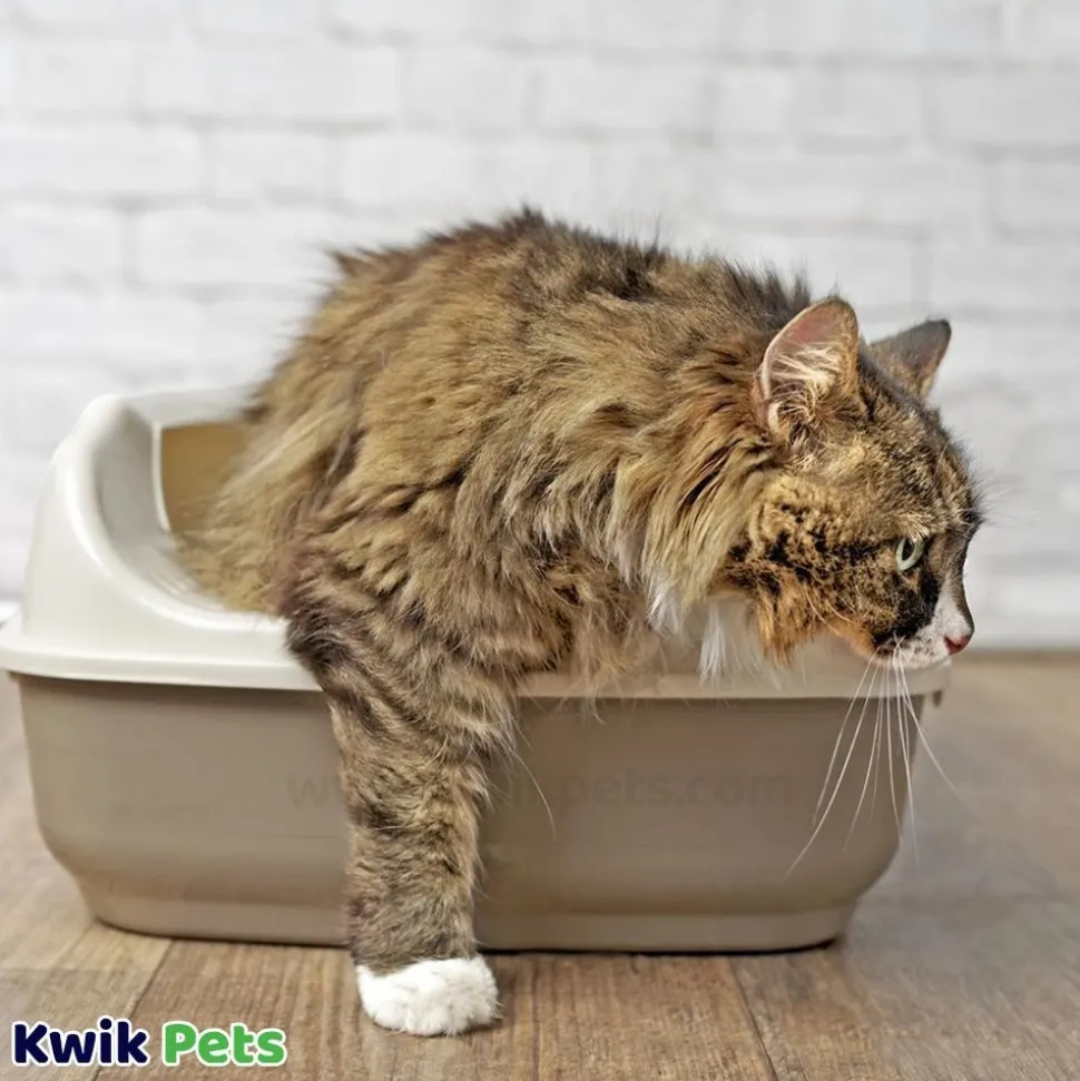 World's Best Cat Litter Low Tracking & Dust Control Multiple Cat Unscented Formula 15-lb