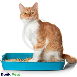 World's Best Cat Litter Original Unscented Formula 8-lb