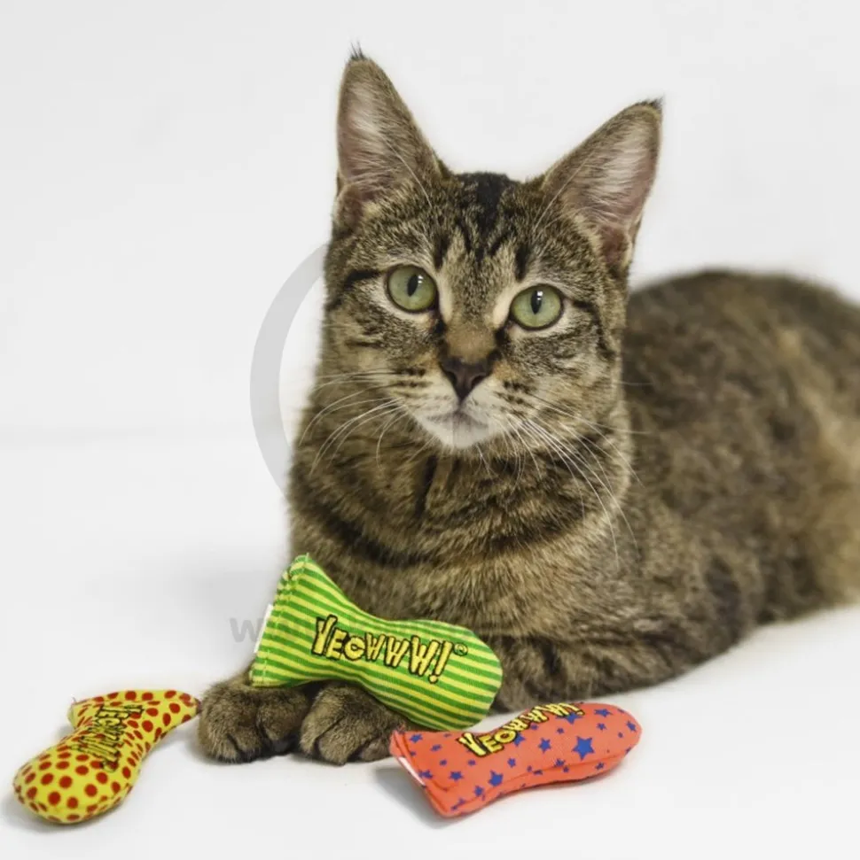 Yeowww! Stinkies Sardines Catnip Cat Toy Yellow & Green 3-in