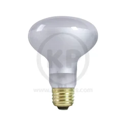 Zilla Day White Light Incandescent Spot Bulb 75W