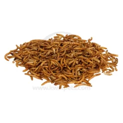 Zilla Mealworms Reptile Munchies 3.75-oz