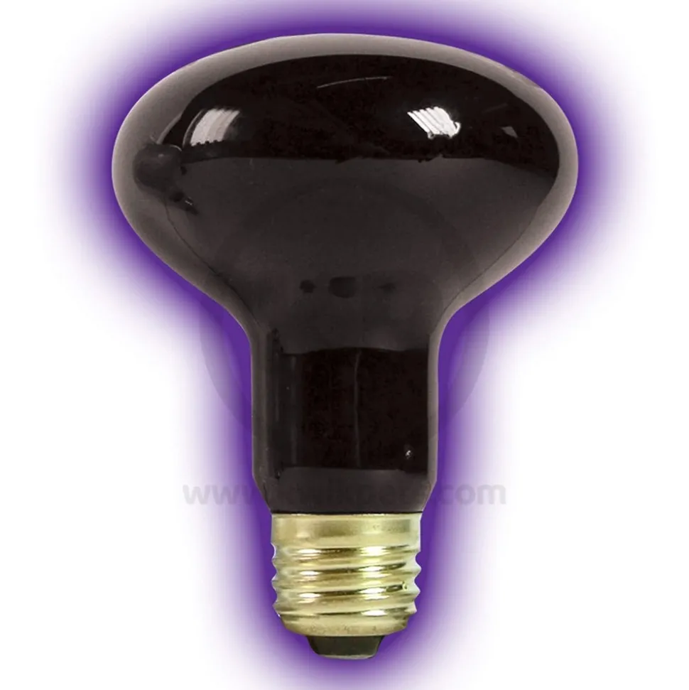 Zilla Night Black Heat Incandescent Spot Bulb 50W