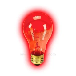Zilla Night Red Heat Incandescent Bulb 100W