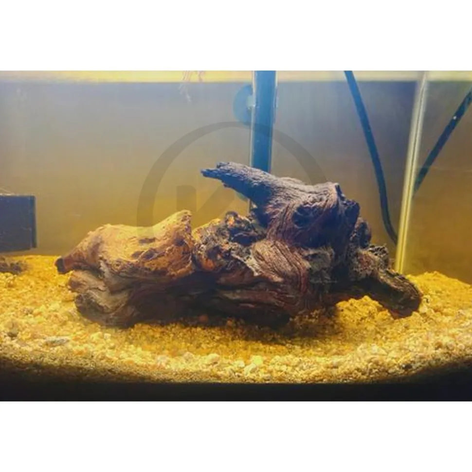 Zoo Med Aquarium Mopani Wood Brown Small 6-8 in
