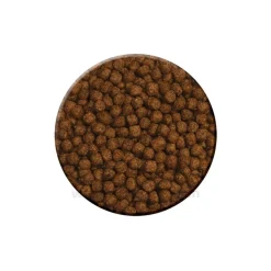 Zoo Med Aquatic Turtle Food Maintenance Formula Dry Food 12-oz