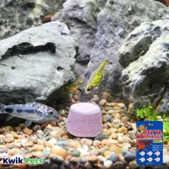 Zoo Med Betta Banquet 7 Day Release Fish Feeding Block 0.3-oz