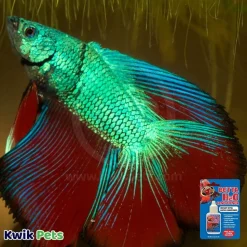 Zoo Med Betta H2o Conditioner 0.5-oz