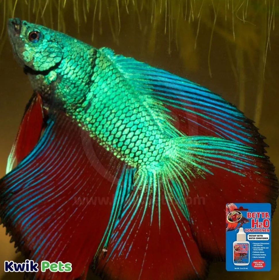 Zoo Med Betta H2o Conditioner 0.5-oz