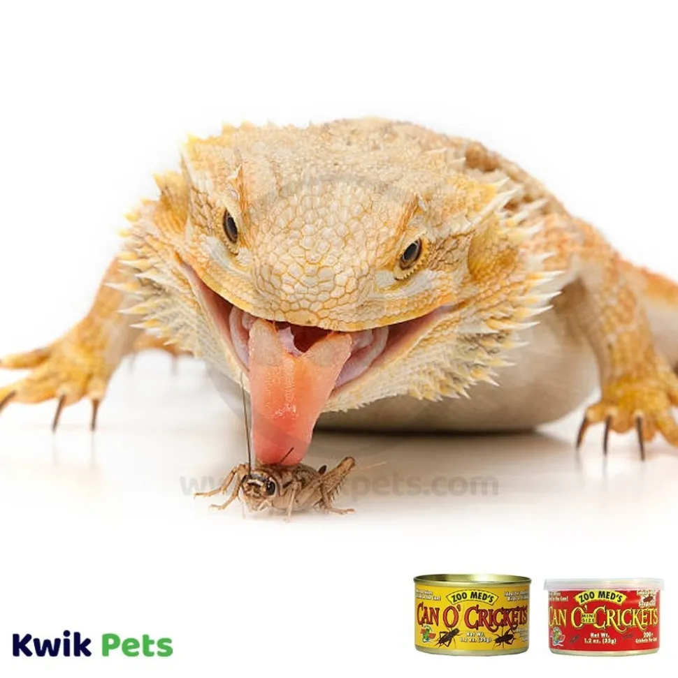 Zoo Med Can O' Adult Crickets Reptile Wet Food 1.2-oz