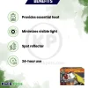 Zoo Med Day & Night Desert Lighting Kit