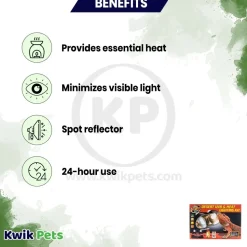 Zoo Med Desert UVB & Heat Lighting Kit