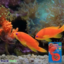Zoo Med Micro Floating Betta Pellet Fish Food 0.15-oz
