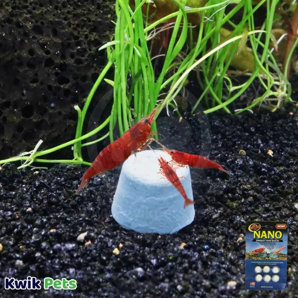 Zoo Med Nano Banquet Fish Feeding Block Mini 0.3-oz