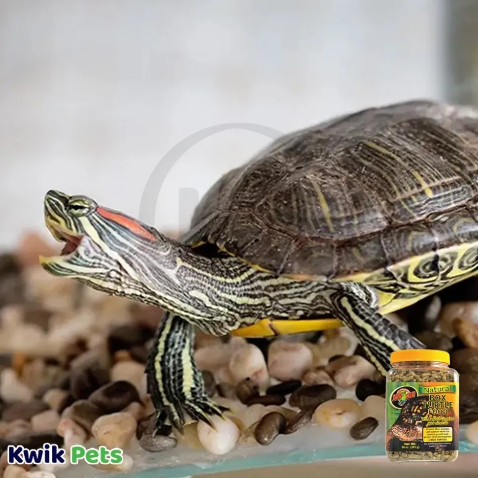 Zoo Med Natural Box Turtle Pellet Food 10-oz