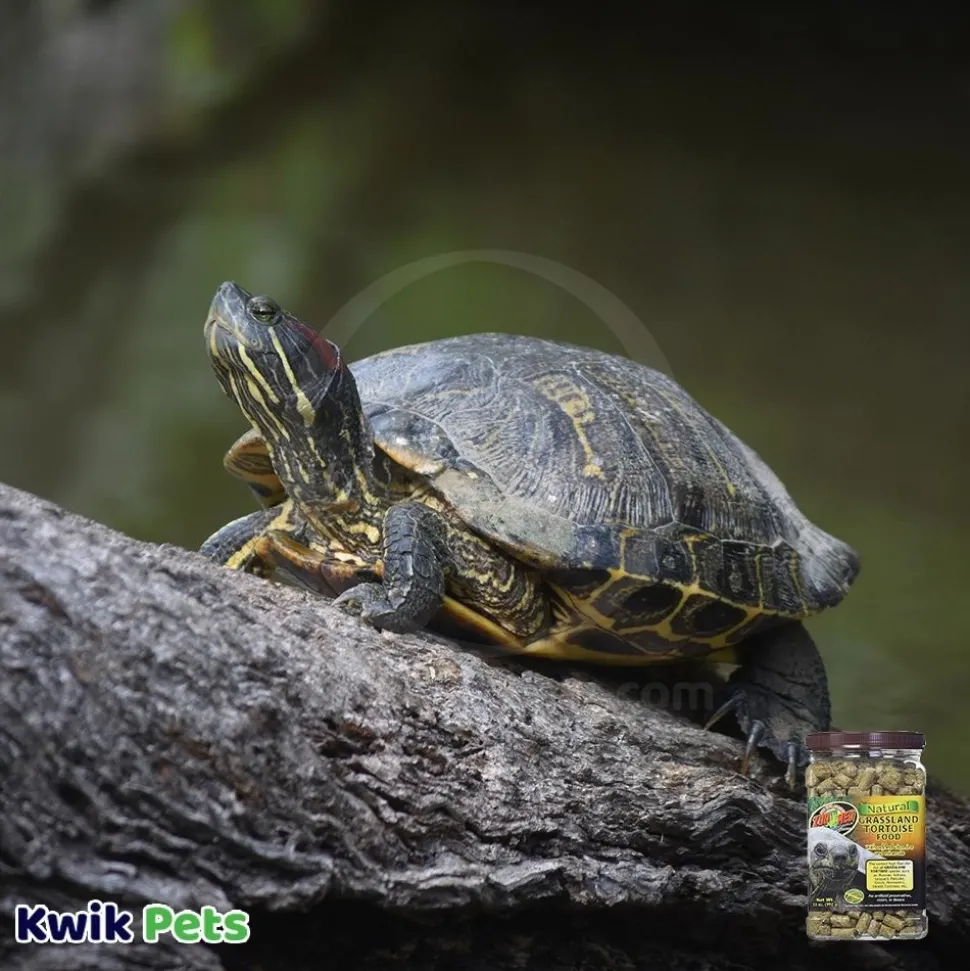 Zoo Med Natural Grassland Tortoise Dry Food 35-oz