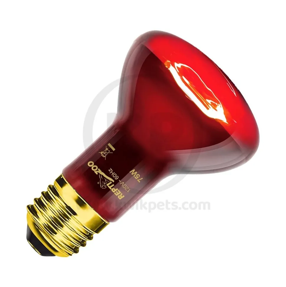 Zoo Med Nightlight Red Reptile Bulb 25W