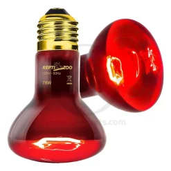 Zoo Med Nocturnal Infrared Heat Lamp 50W