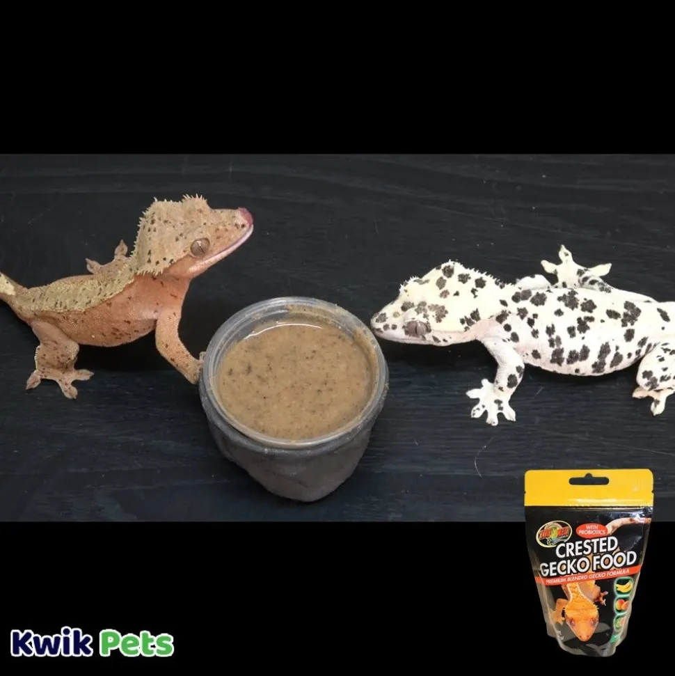Zoo Med Premium Blended Tropical Fruit Flavor Crested Gecko Dry Food 2-oz