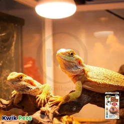 Zoo Med Repti Basking Spot Lamp 50W