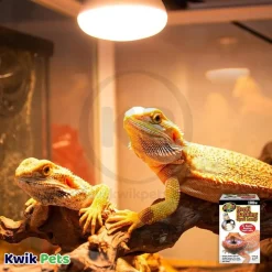 Zoo Med Repti Basking Spot Lamp 100W