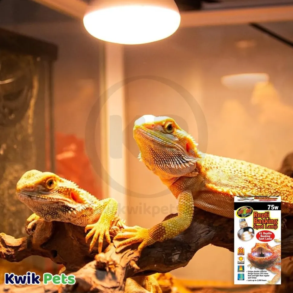 Zoo Med Repti Basking Spot Lamp 75W
