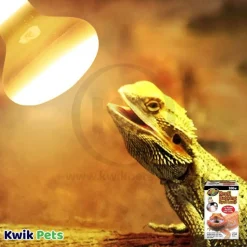 Zoo Med Repti Basking Spot Lamp 100W 2 Count