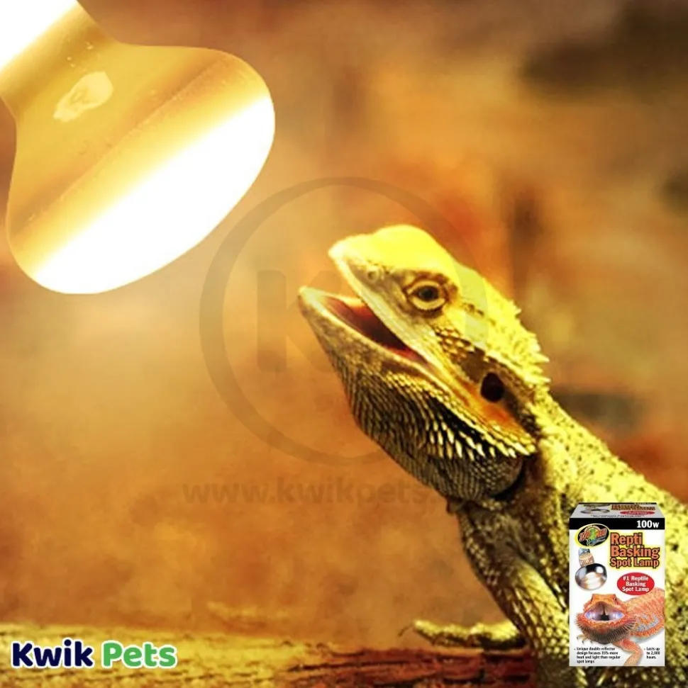 Zoo Med Repti Basking Spot Lamp 100W 2 Count