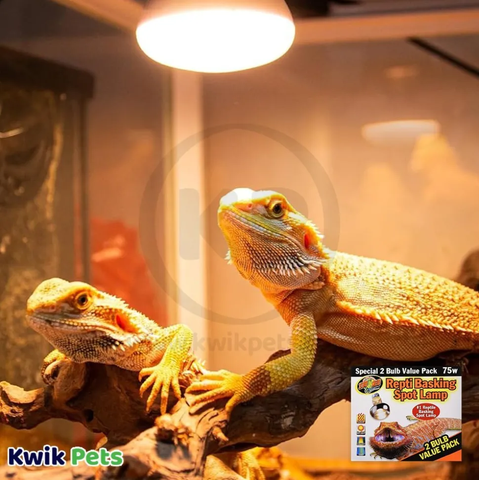 Zoo Med Repti Basking Spot Lamp 75W 2 Count