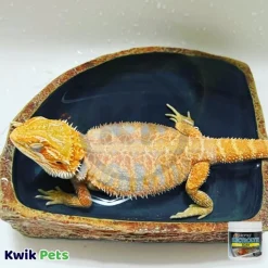 Zoo Med Reptile Electrolyte Soak Supplement 8-oz